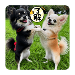 Akiko_20260703165840