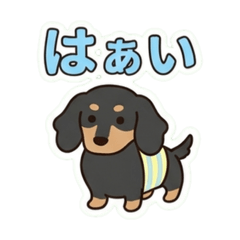 nico_20260703171406