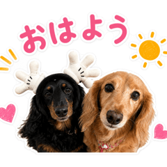 Noel_20260703170853
