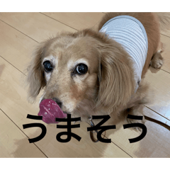 hiro_20260703174038