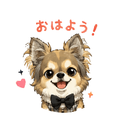 choco_20260703181557