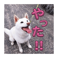 Ma_20260703183709
