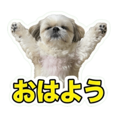 Momo_20260703191511