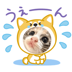 yui_20260703193212