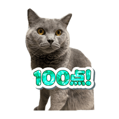 judo912_20260703192909