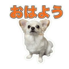 masashi_20260703193615