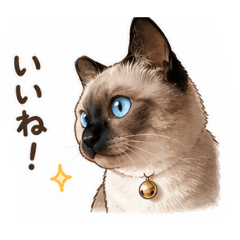 yumi_20260703193439
