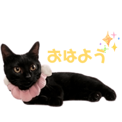 aym_20260703174409