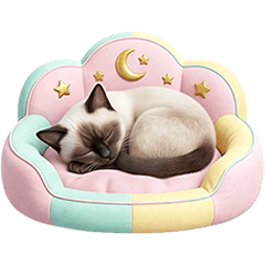 Cute Funny Meme Siamese Cat Seal Point