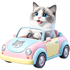 Cute Funny Blue Bicolor Ragdoll Cat Meme