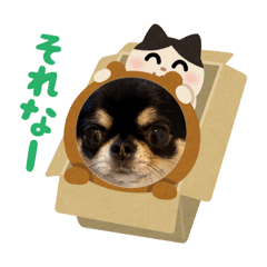 yu_20260703194020