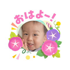 phaan_20260703193928