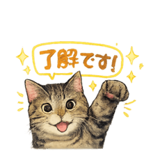 key&ao cats