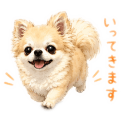 moko_20260703200238