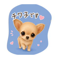 MINAMI_20260703200401