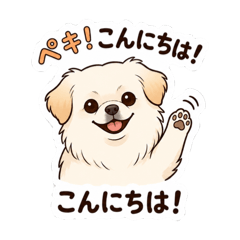 RUNA_20260703204030