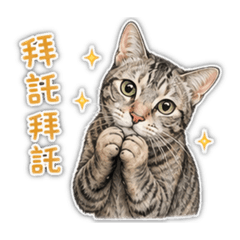 Belly的厭世日記1
