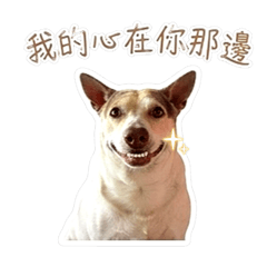今日份的油膩土味情話