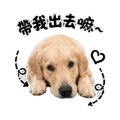 呆萌沐沐