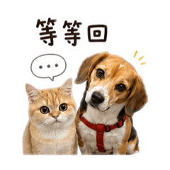 Miffy糖糖工作去