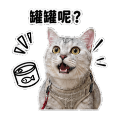 我家貓公主-小咘01