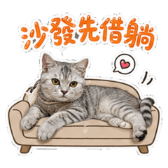 我家貓公主-小咘02