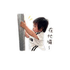 小曦baby