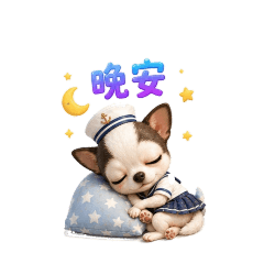 祥寶回來了
