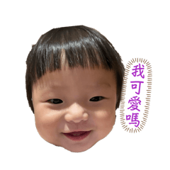 小紫紫日常