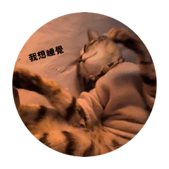 麻將的專屬貼圖