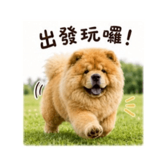 活力小貼圖 05 鬆獅犬草地篇
