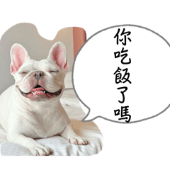 靠誒那個圓圓的