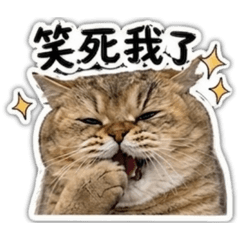 胖蝀奭