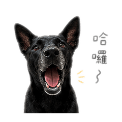 傲嬌小公舉-平安貼圖