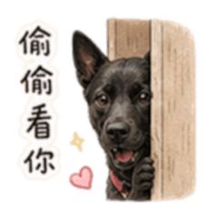 歐嚕日常篇