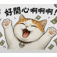 田田貓的日常