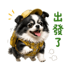 JB小狗狗
