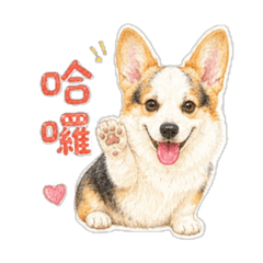 短腿Yukiの日常