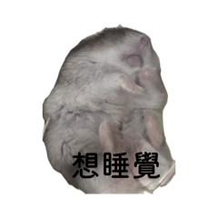 黑糖欸！