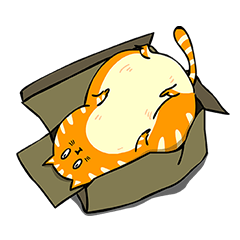 A fat orange cat