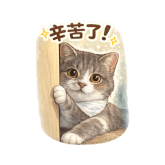 莎莎篇