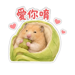 老唐鼠