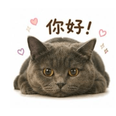 李小炭2