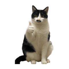 福吉說讚啦！