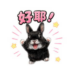 黑丸醬｜To小妹的日常