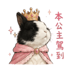 洪芝麻小公主