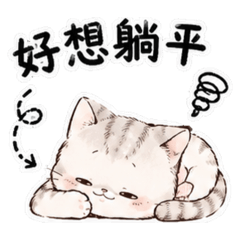 卡哇伊小天使貓
