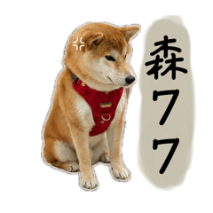 早安Yoshi