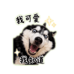 還是李13