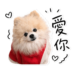 球仔寶寶